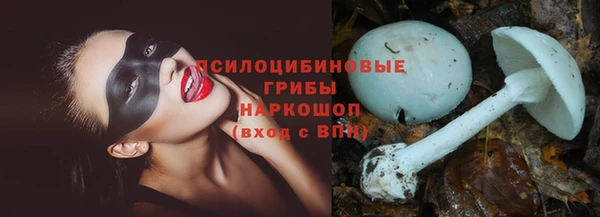 apvp Алексин