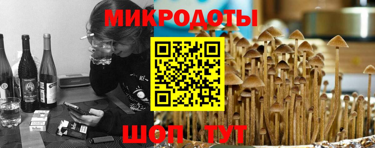 Псилоцибиновые грибы мухоморы Шатура