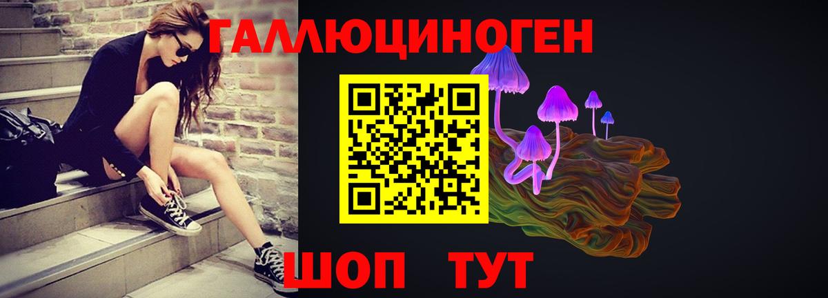 Шатура  Галлюциногенные грибы GOLDEN TEACHER  Вход с VPN  Галлюциногенные грибы Magic Shrooms 
